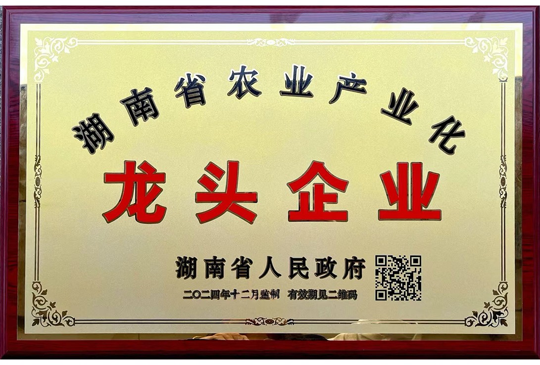 龍頭企業(yè)